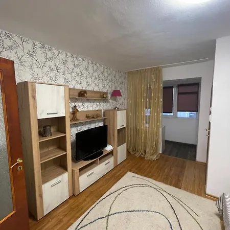 Garsoniera -single 91