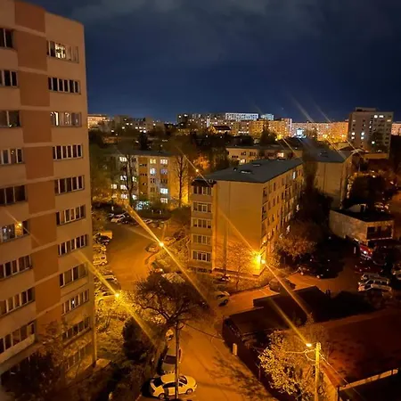 Apartment Garsoniera -single 91