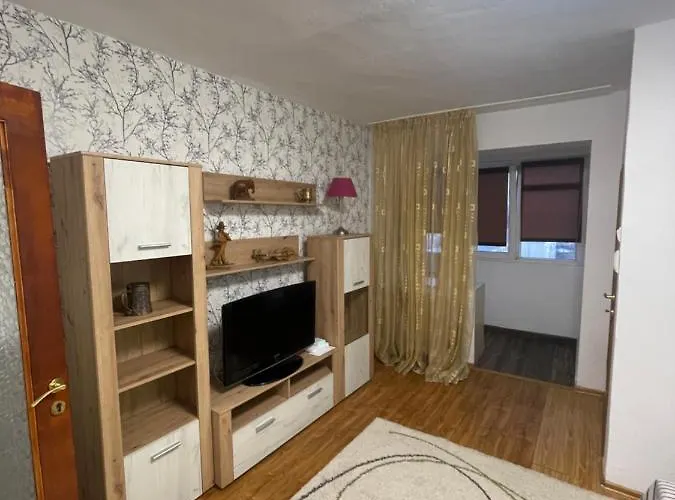 Garsoniera -single 91