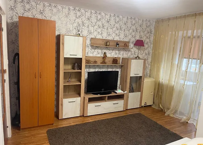 Garsoniera -single 91